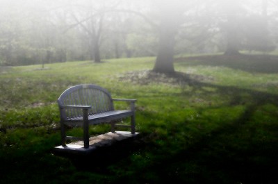 Park Bench - Meditate